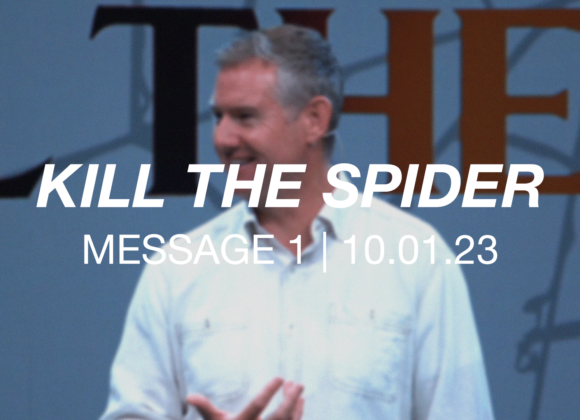 Kill the Spider | Message 1