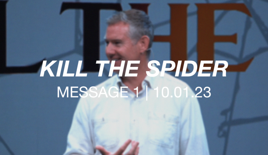 Kill the Spider | Message 1