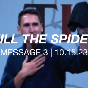 Kill the Spider | Message 3